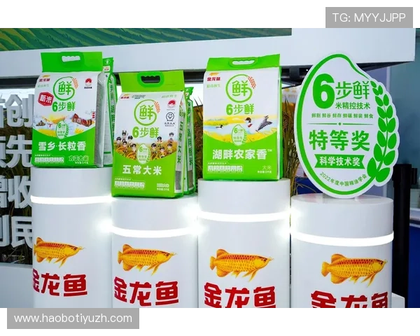 博鱼官网下载apk官方最新版，丰富游戏资源和最新活动内容一站式获取